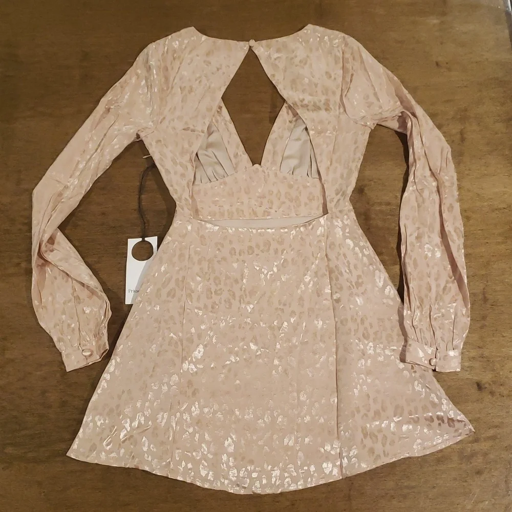 Privacy Please Ella Mini Dress Plush Leopard Cocktail Wedding Guest Dress XS